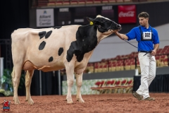 A101481-28685 A101481-28685