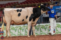 A101493-28686 A101493-28686