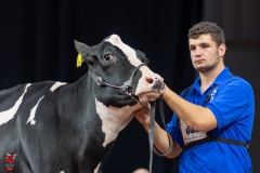 A101496-28687 A101496-28687