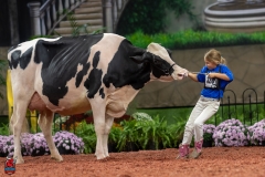 A101499-28689 A101499-28689