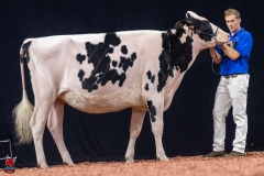 A100756-28621 A100756-28621