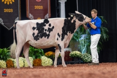 A100764-28622 A100764-28622