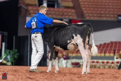 A100766-28623 A100766-28623