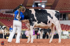 A100767-28624 A100767-28624