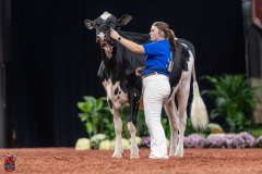 A100768-28625 A100768-28625