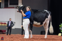 A100770-28627 A100770-28627