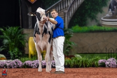 A100774-28628 A100774-28628