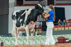 AR300039-Edit AR300039-Edit