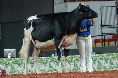 AR300044-Edit AR300044-Edit