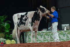 AR300049-Edit AR300049-Edit