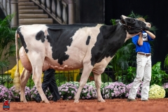 A101682-28711 A101682-28711