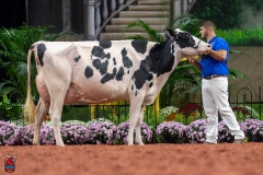 A101689-28712 A101689-28712