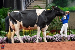 A101711-28714 A101711-28714