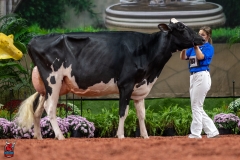 A101734-28715 A101734-28715