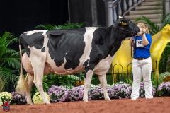 A101741-28716 A101741-28716