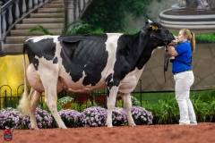 A101755-28717 A101755-28717