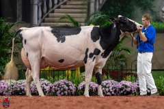 A101794-28720 A101794-28720