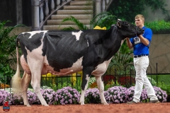 A101798-28721 A101798-28721