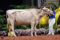 A101810-28722 A101810-28722