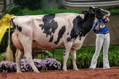 A101824-28723 A101824-28723