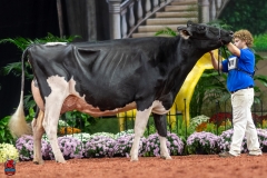 A101847-28724 A101847-28724