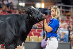 A101851-28725 A101851-28725