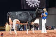 A101860-28726 A101860-28726