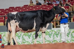 A102545-28783 A102545-28783