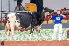 A102548-28784 A102548-28784