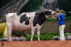 A102607-28787 A102607-28787