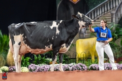 A102629-28788 A102629-28788