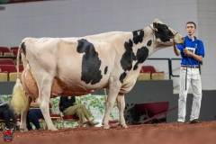 A102664-28789 A102664-28789