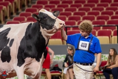 A102669-28790 A102669-28790