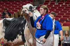 A102678-28791 A102678-28791