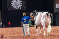 A102680-28792 A102680-28792