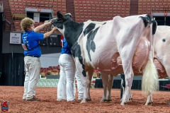 AR300414-Edit AR300414-Edit