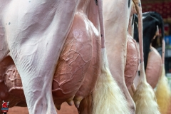 AR300417-Edit AR300417-Edit