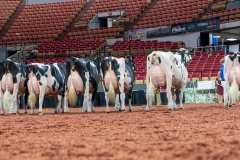 AR300431-Edit AR300431-Edit