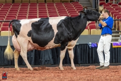 A102687-28793 A102687-28793