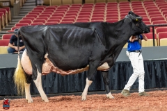 A102693-28795 A102693-28795