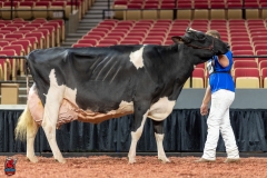 A102702-28796 A102702-28796