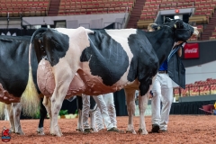 AR300433-Edit AR300433-Edit