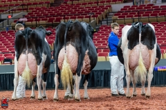 AR300436-Edit AR300436-Edit