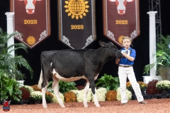 A109091-28381 A109091-28381