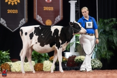 A109099-28382 A109099-28382