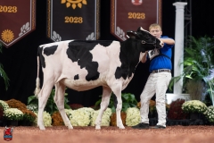 A109101-28383 A109101-28383