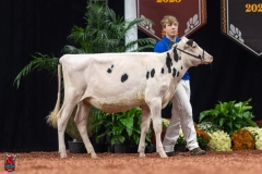 A109108-28385 A109108-28385