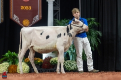 A109113-28387 A109113-28387