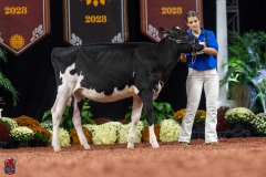 A109123-28389 A109123-28389