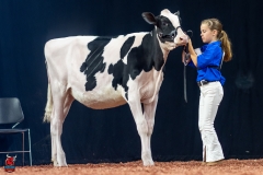 A109135-28391 A109135-28391